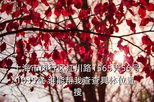 上海市閔行區江川路1565弄56號1035室 誰能幫我查查具體位置  搜