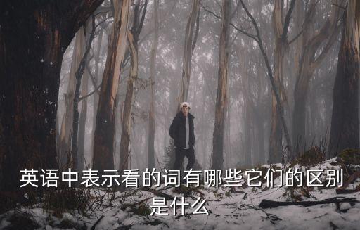  英語中表示看的詞有哪些它們的區別是什么