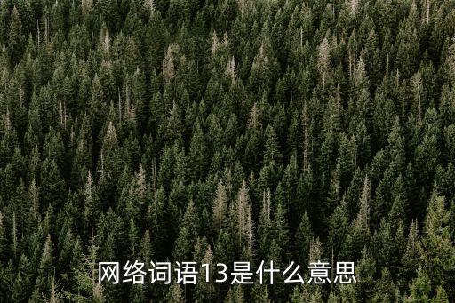 13什么意思,13代表不吉利中國卻成為吉祥的數字