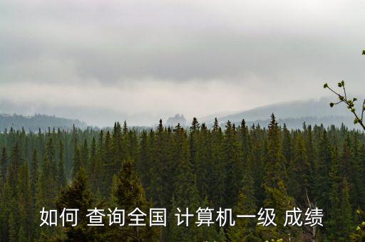 計算機成績查詢入口,計算機二級考試成績點擊進入查詢頁面