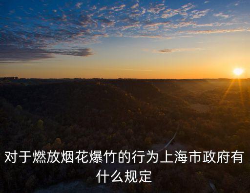 對于燃放煙花爆竹的行為上海市政府有什么規定