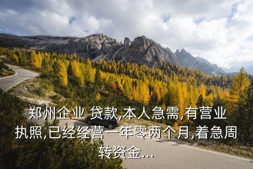 鄭州房產(chǎn)抵押貸款,鄭州無抵押貸款無需擔(dān)保抵押最快2天內(nèi)放款