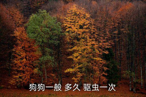 狗狗一般 多久 驅蟲一次