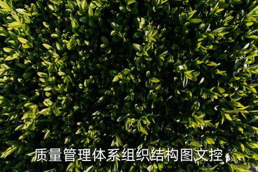 組織構架圖，visio組織架構圖怎么畫啊