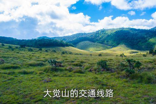 大覺山,大覺山景區(qū)距武漢和福建均遙遙相望