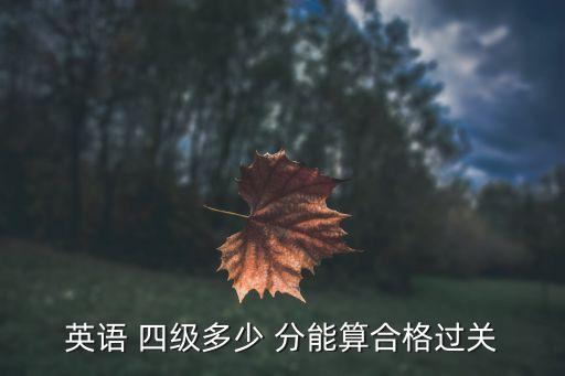 四級多少分能過,國家英語四級改革后710分滿分為710分