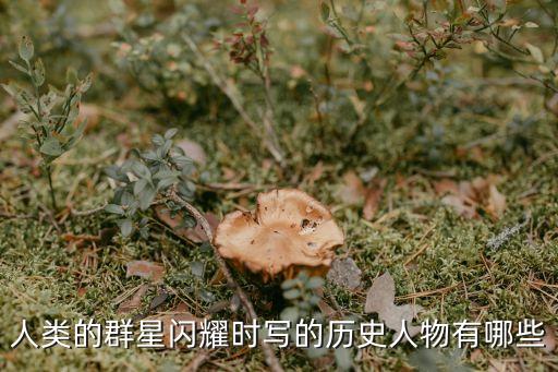 人類群星閃耀，人類的群星閃耀時講了什么