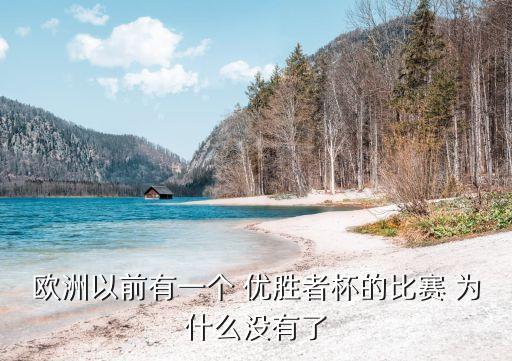 歐洲以前有一個 優(yōu)勝者杯的比賽 為什么沒有了