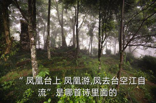 鳳凰鳥,鳳凰放飛后晴空萬里長江自奔流