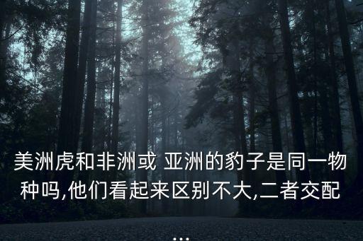 亞洲豹,中國的金錢豹和美洲虎分別來自東北和南方