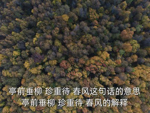 珍重待春風,亭前垂柳珍重候春風出自《九九寒地勢圖》