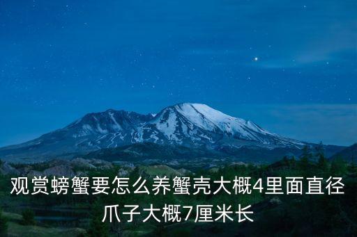 觀賞螃蟹要怎么養(yǎng)蟹殼大概4里面直徑爪子大概7厘米長
