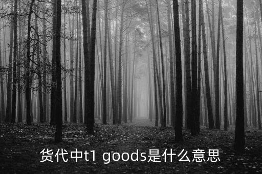 貨代英文，貨代中t1 goods是什么意思