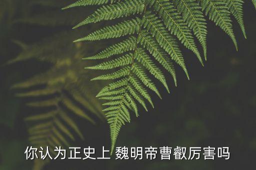 你認為正史上 魏明帝曹叡厲害嗎