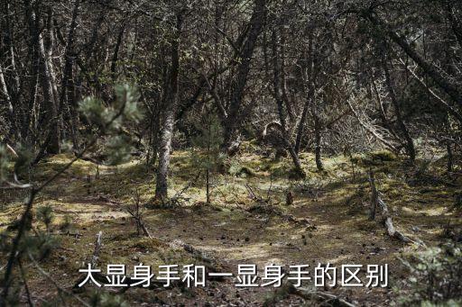  大顯身手和一顯身手的區(qū)別