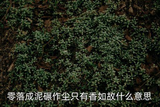零落成泥碾作塵只有香如故，零落成泥碾作塵 只有香如故是什么意思