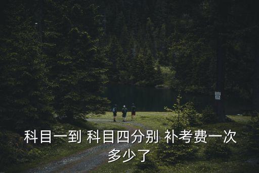  科目一到 科目四分別 補考費一次多少了