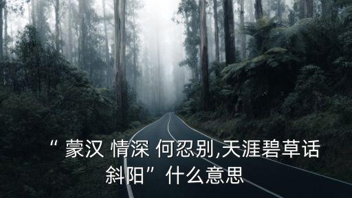 蒙漢情深何忍別,蒙漢情深何忍再會