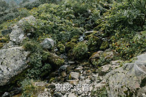 癍痧，癍痧是什么東東