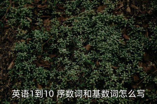 三的序數(shù)詞,政府撥款三億元設(shè)立基金資助企業(yè)數(shù)碼轉(zhuǎn)型
