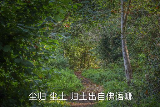 塵歸塵土歸土,第二集:塵歸塵土歸土