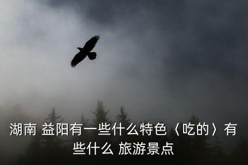 湖南 益陽有一些什么特色〈吃的〉有些什么 旅游景點