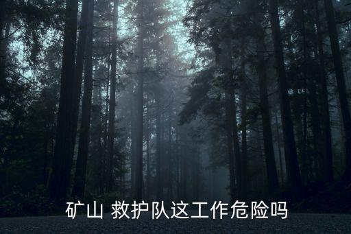 礦山救護隊,專業救援組織山救隊試用期工資1800元/月