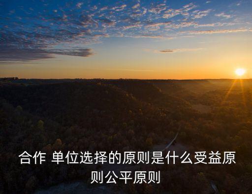  合作 單位選擇的原則是什么受益原則公平原則