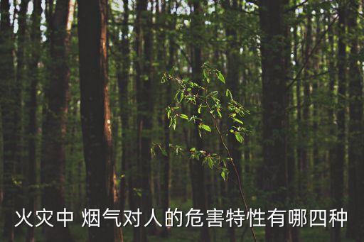 煙氣的危害性,長期吸煙危害大包括肺部和心臟功能