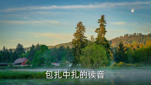 包扎的讀音，包扎讀音是什么