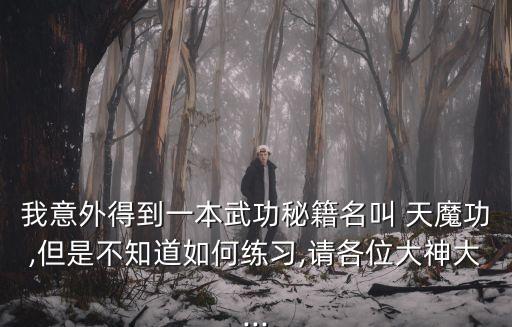 我意外得到一本武功秘籍名叫 天魔功,但是不知道如何練習(xí),請各位大神大...