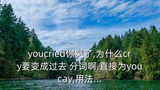 youcried你哭了,為什么cry要變成過(guò)去 分詞啊,直接為youcay,用法...