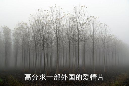高分求一部外國的愛情片