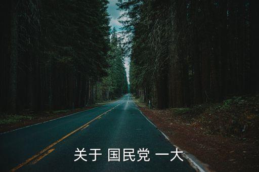 國民黨一大,中國國民黨首次全國代表大會宣言出爐