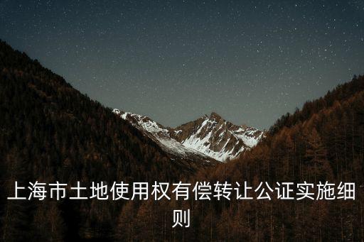 上海市土地轉讓合同，土地轉讓合同