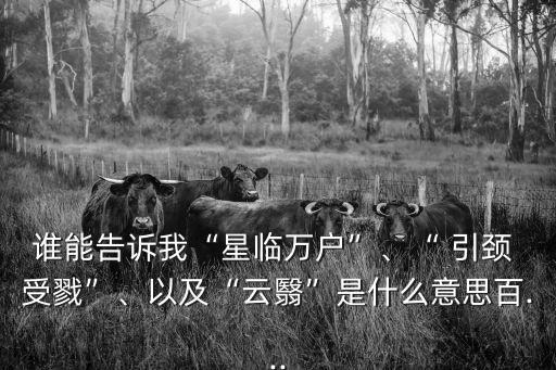引頸受戮,不抵抗而死的勇士!