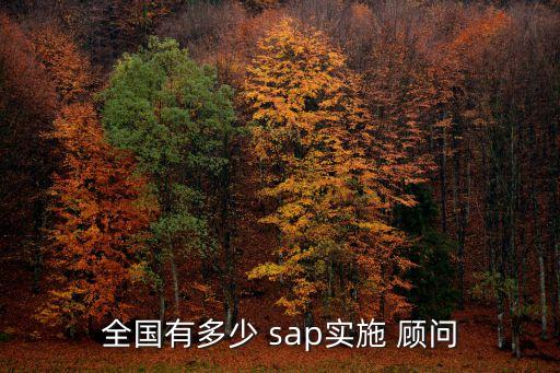 全國有多少 sap實施 顧問