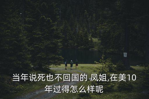鳳姐在美國(guó),羅玉鳳:美國(guó)夢(mèng)不容易在中國(guó)實(shí)現(xiàn)