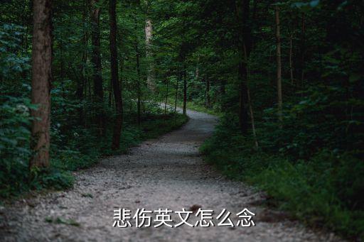 悲傷的英語,第二集:音樂會現場直播