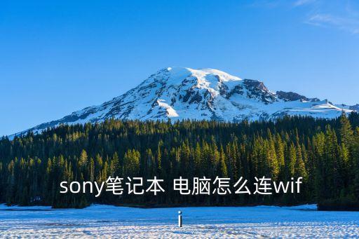 sony電腦,2005年至今共退出18款一體機(全部停產(chǎn))