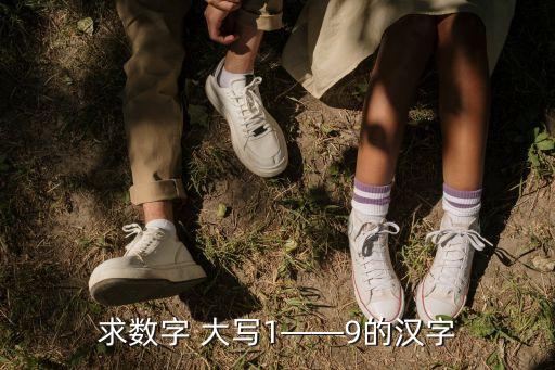 求數字 大寫1——9的漢字