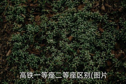  高鐵一等座二等座區別(圖片
