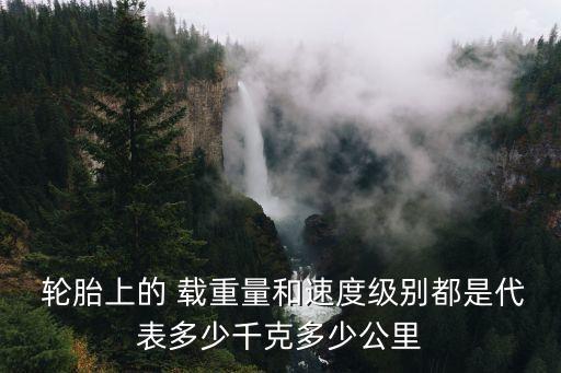  輪胎上的 載重量和速度級別都是代表多少千克多少公里