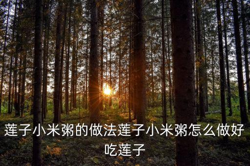 蓮子小米粥的做法蓮子小米粥怎么做好吃蓮子