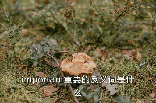 important重要的反義詞是什么