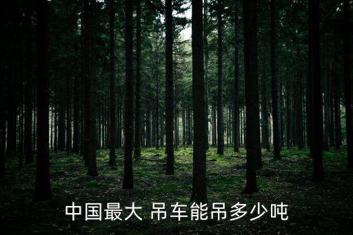 中國最大 吊車能吊多少噸