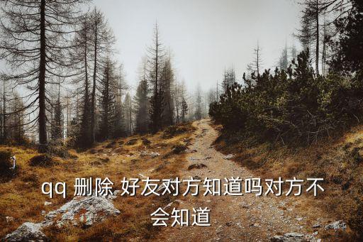 qq刪除好友對方知道嗎,如何!