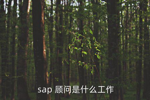 sap顧問,9000多名國內(nèi)sap顧問出任總裁