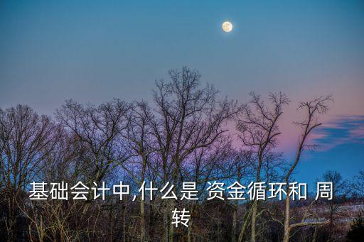 周轉(zhuǎn)資金,企業(yè)資金周轉(zhuǎn):購買商品時由貨幣形式轉(zhuǎn)化為商品