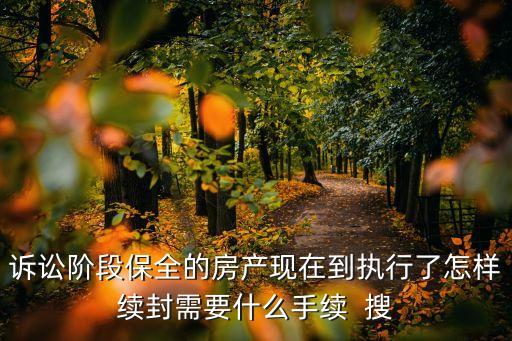 訴訟階段保全的房產現在到執行了怎樣續封需要什么手續  搜